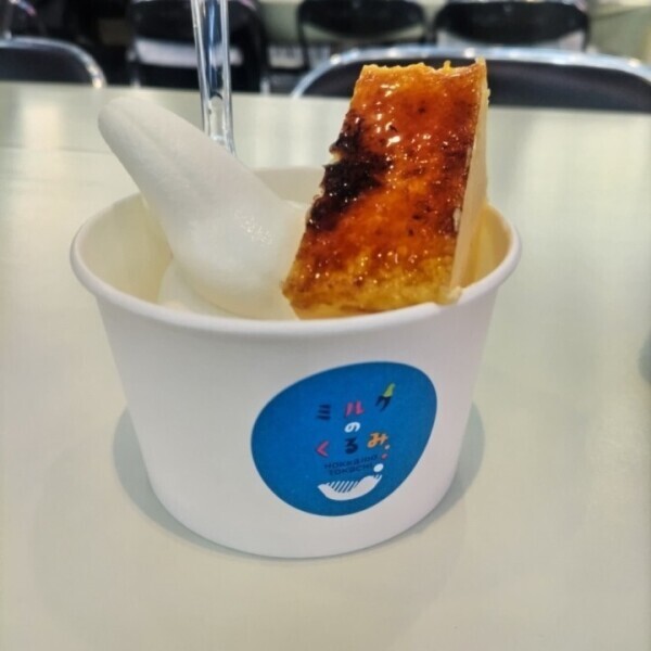 次は1年後🍨