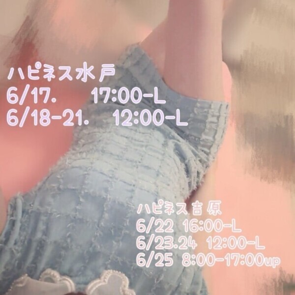 6月の予定🌵