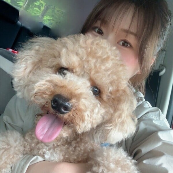 明日はトリミング🐶✂️