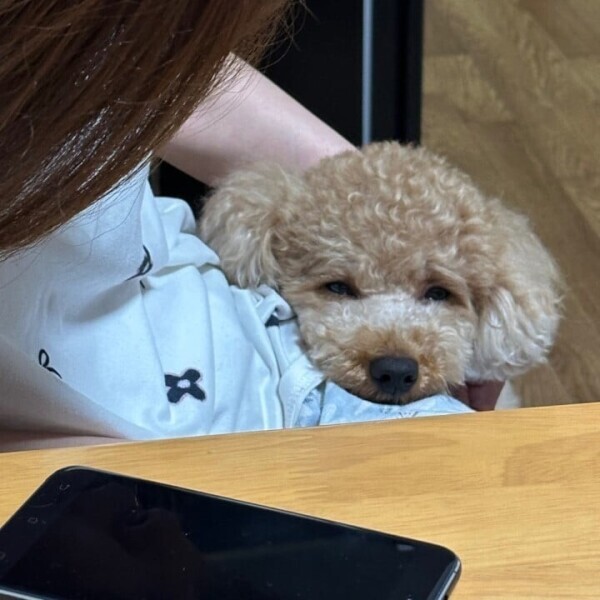 かわちい🐶