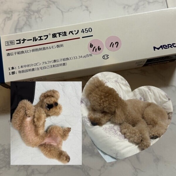もう少し🪺