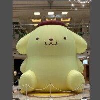 及川かのん