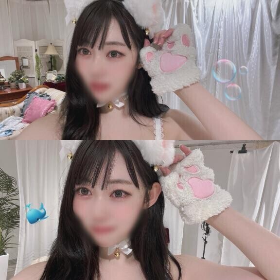 ネコネココネコ