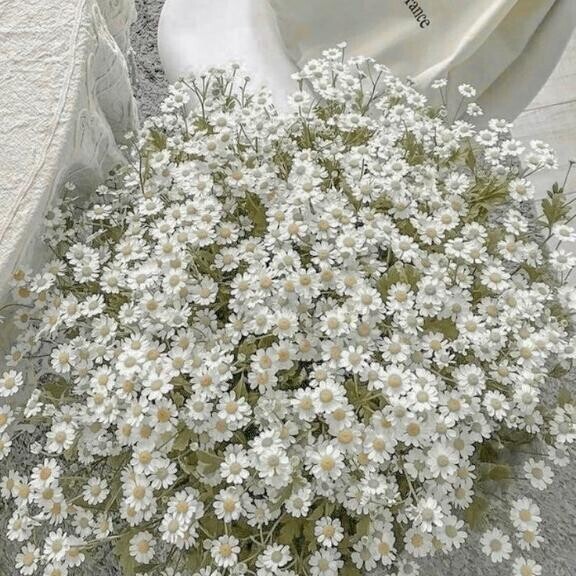 ? 満枠ありがとう? ?