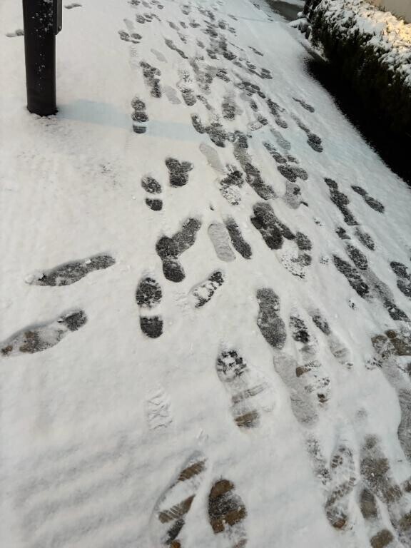 朝方の雪道？？