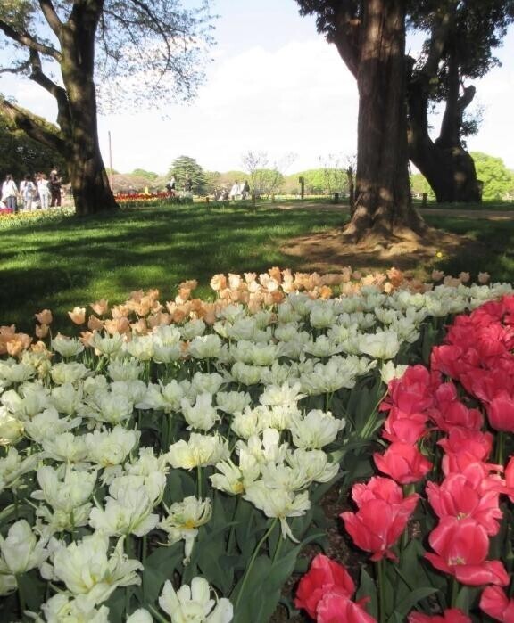 次回は明日15:00～23:00です？