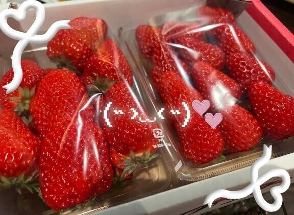 おひさしぶりです！！