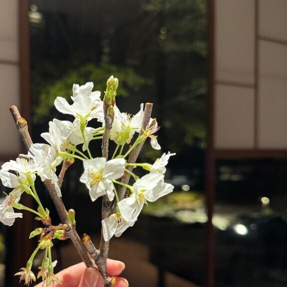 甘えて、甘えられて