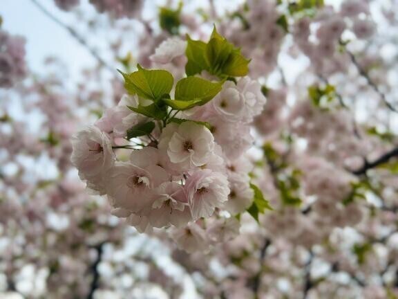 次回出勤日！！？