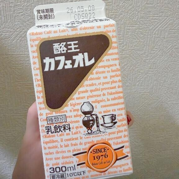 念願の