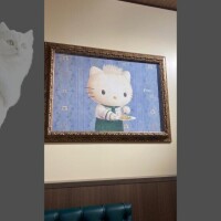及川かのん