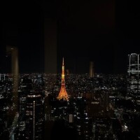 光月きほ