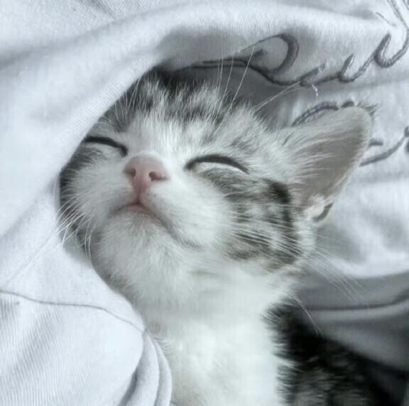 本日もありがとうございました？
