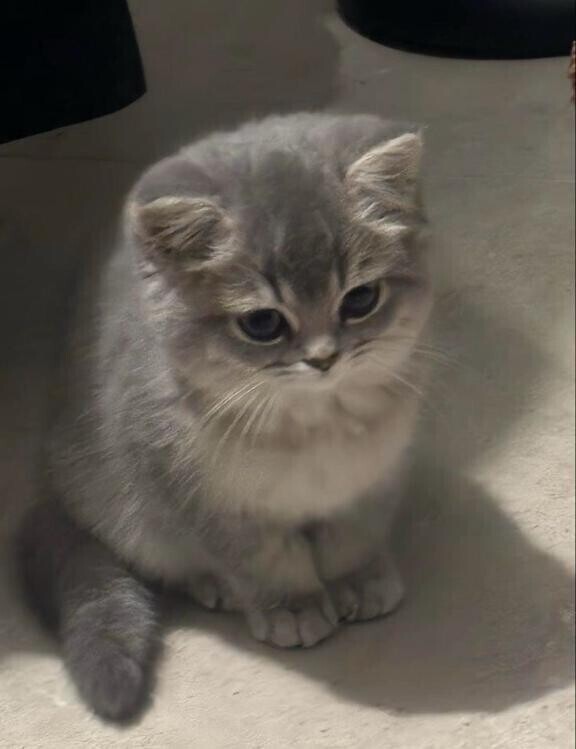 本日もありがとうございました？