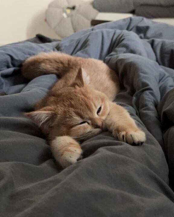 本日もありがとうございました？