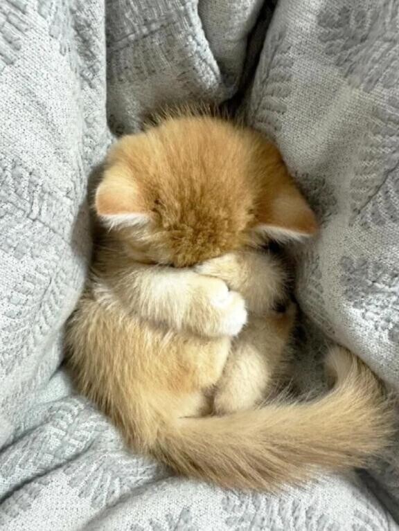 本日もありがとうございました？