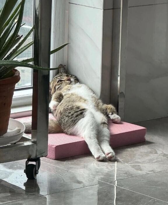 ？？？？？？？？？？