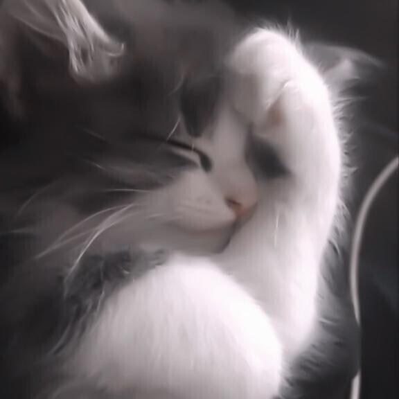 本日もありがとうございました？