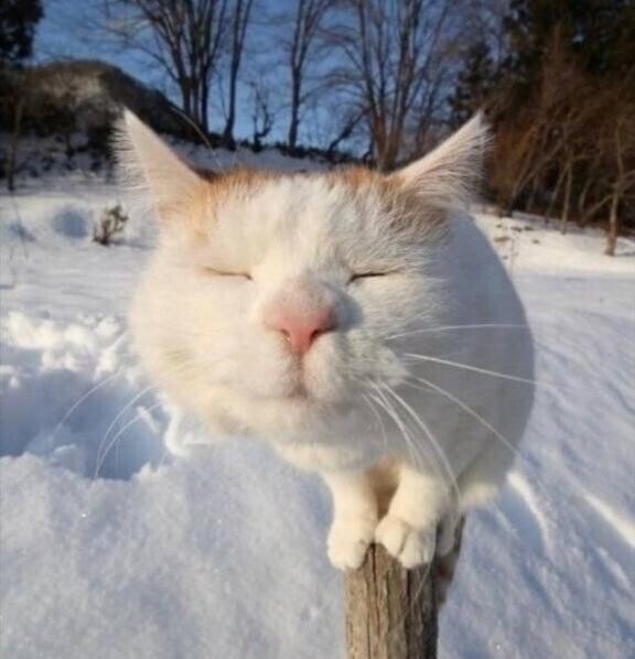 次の出勤は土日になります？