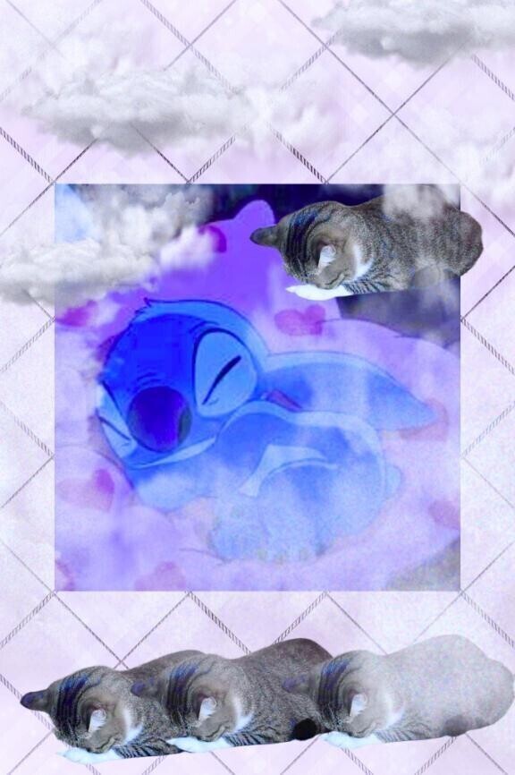 もどってきたよ～