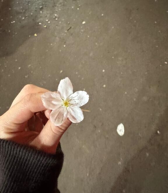 ごめんなさい(？？？)