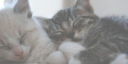 本日はありがとうございました？