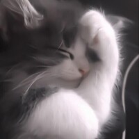青柳ねる