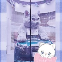 向井地れむ