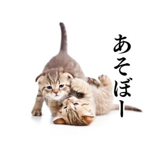明日急遽17時から出勤(#^.^#)