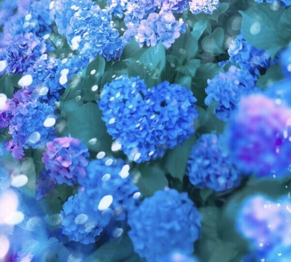 6/26（金）11時から20時出勤