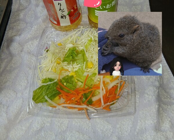 【夏バテ予防策】余ったサラダ活用技！即席の酢の物に変身！傷み予防にも