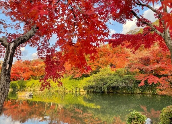 12時から19時受付終了(#^.^#)