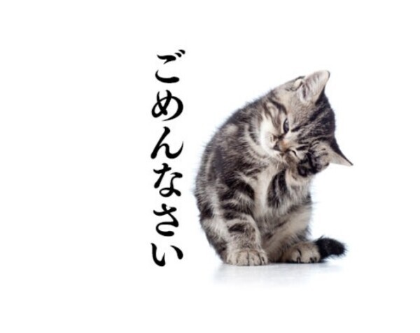 ごめんなさいm(*-ω-)m