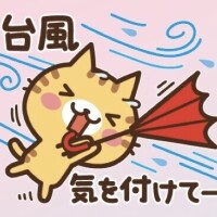 こゆき