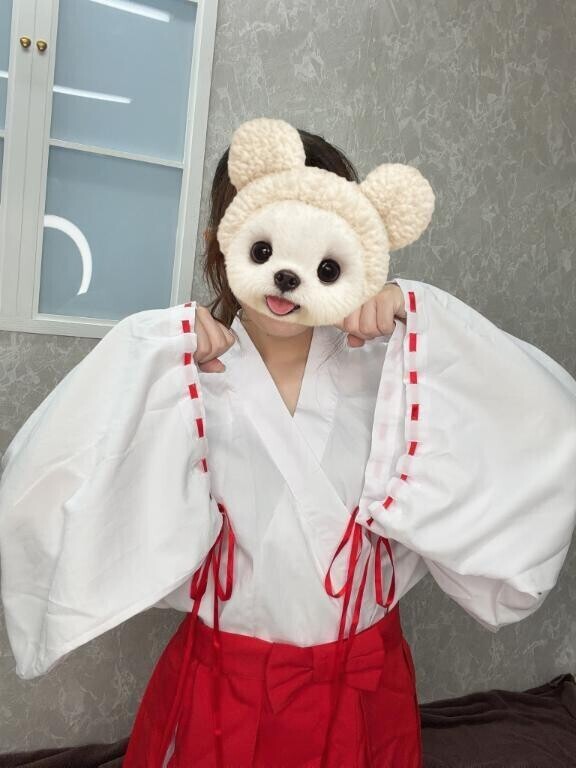 ﾔｽﾐｨｨ