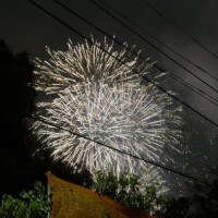 桜庭めい
