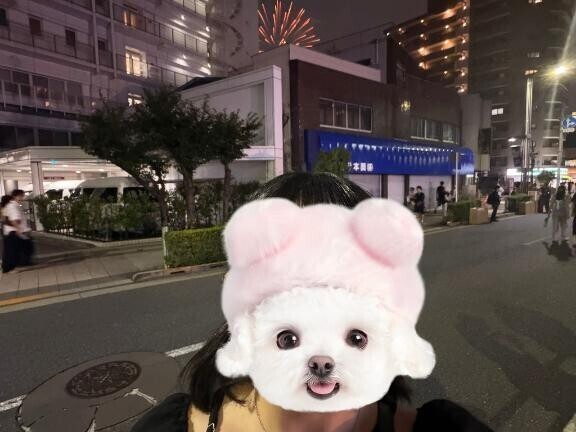 花火行った日の！
