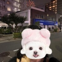 桜庭めい