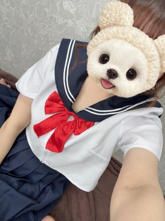 出勤だよん
