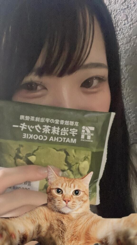 クッキー🍪