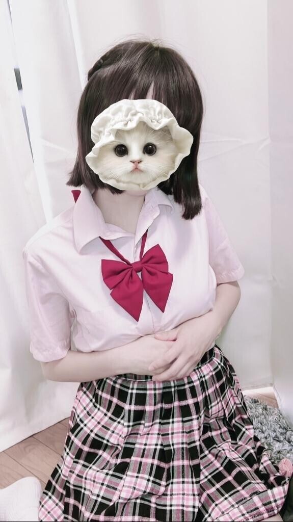 出勤したにゃーん🐱