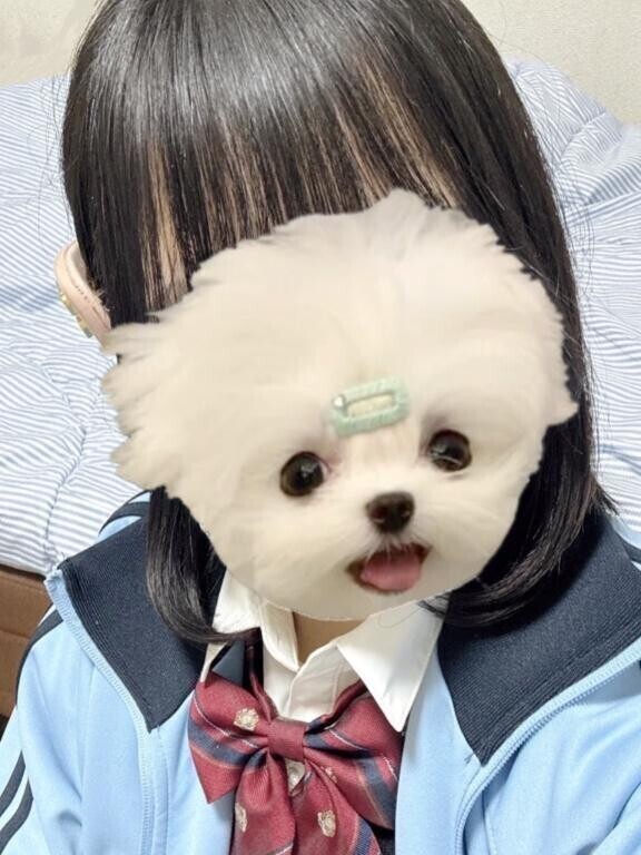 本日出勤しています😽💗