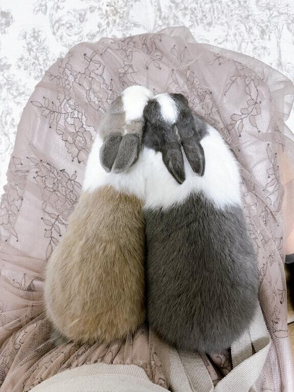 ありがとうございました🌱