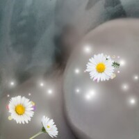 いずみ
