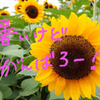 まつり