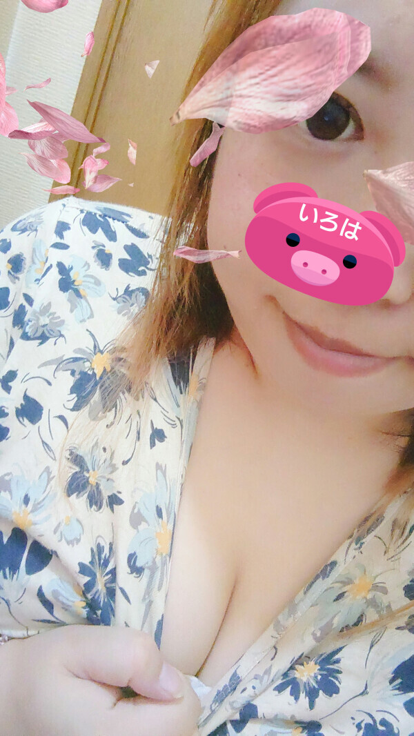 急ですが、雨ですが、、、
