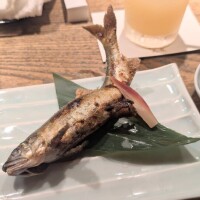 つばさ
