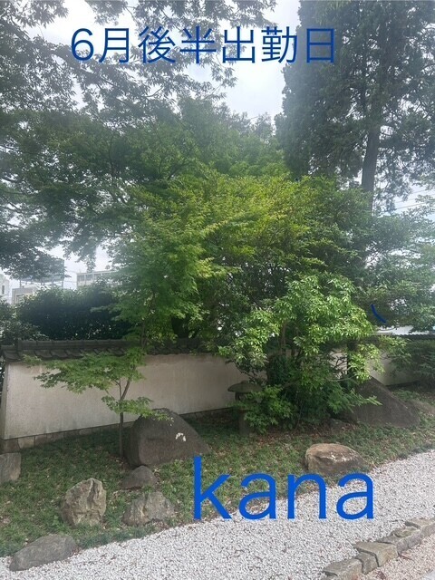 明日はお休みです。