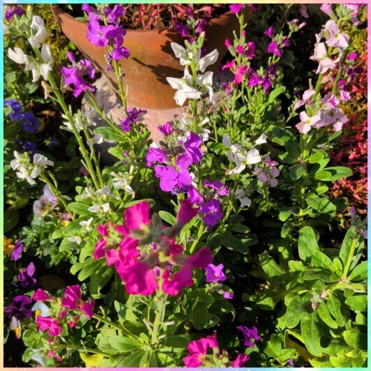 皆様おはようございます^_^