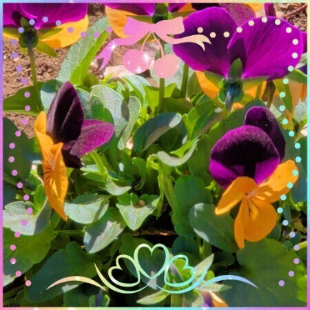 こんにちは(⌒▽⌒)